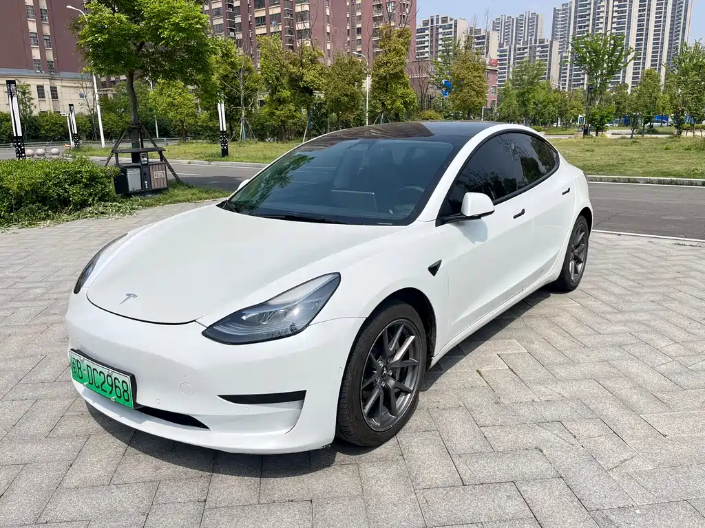 Tesla Model 3 2021