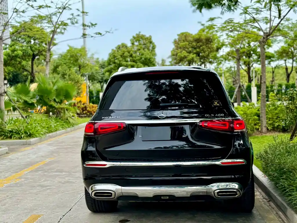 Mercedes-Benz GLS — миниатюра 3