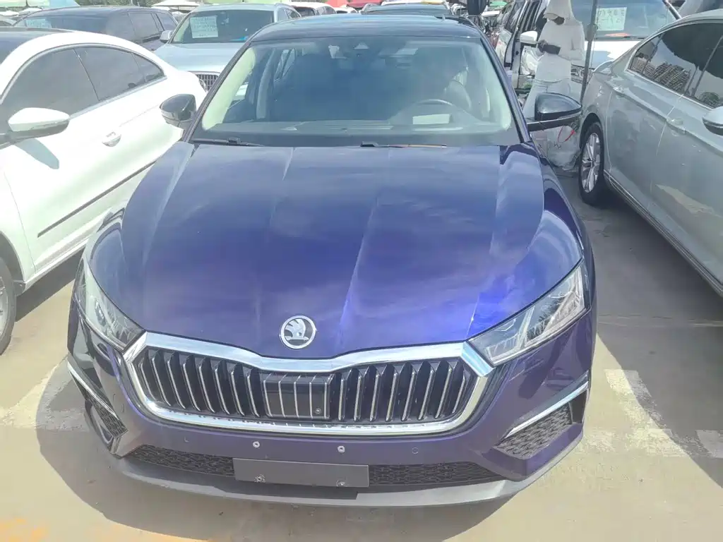 Skoda Octavia 2020 TSI280 DSG Luxury