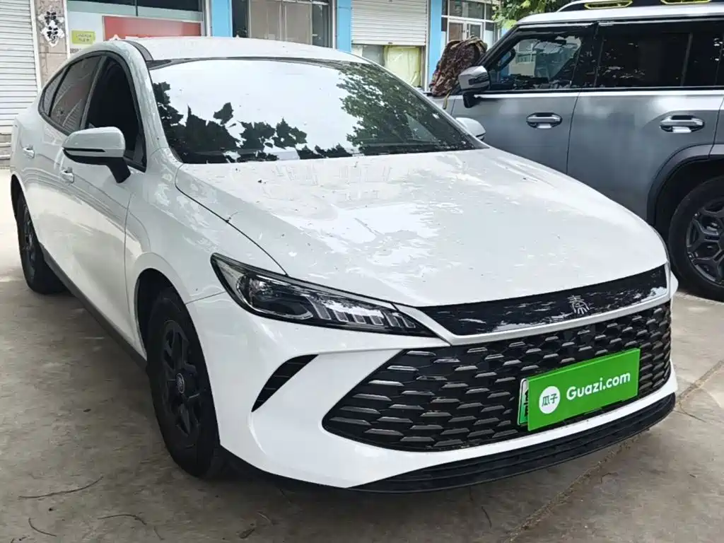 BYD Qin Plus PLUS 2025 DM-i Smart Drive 55KM Lead