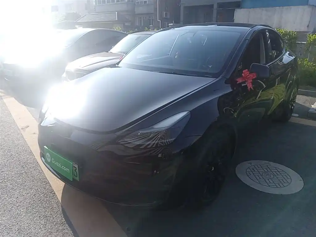 Tesla Model Y 2021