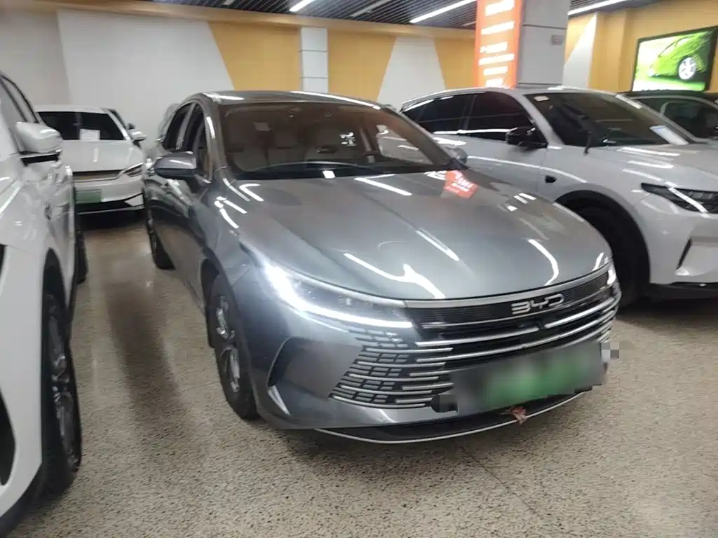 BYD Destroyer 05 2023 Champion DM-i 55KM Luxury