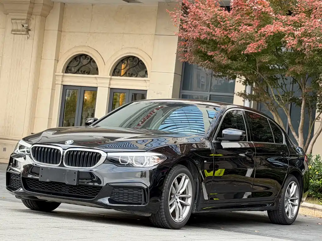 BMW 5 Series 2019