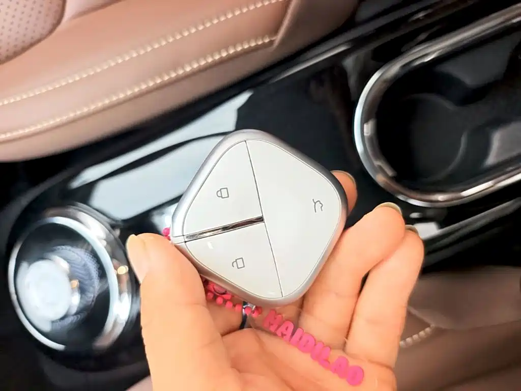 Wuling Binguo 2023 333km +