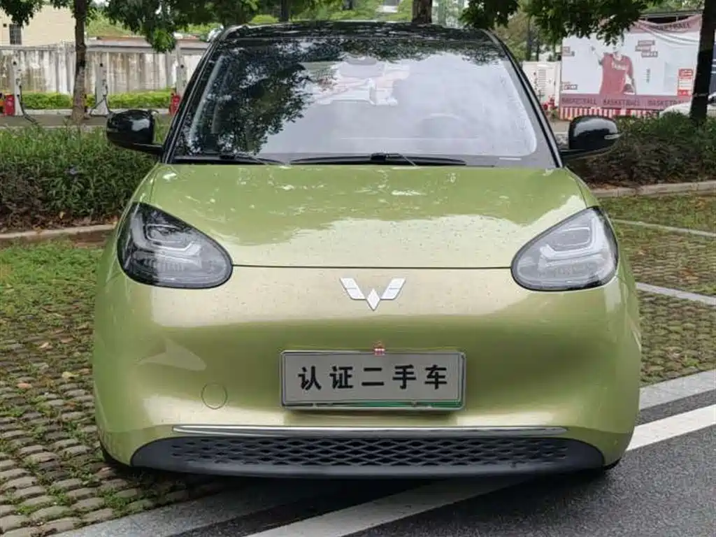 Wuling Binguo 2023 333km Enjoy +