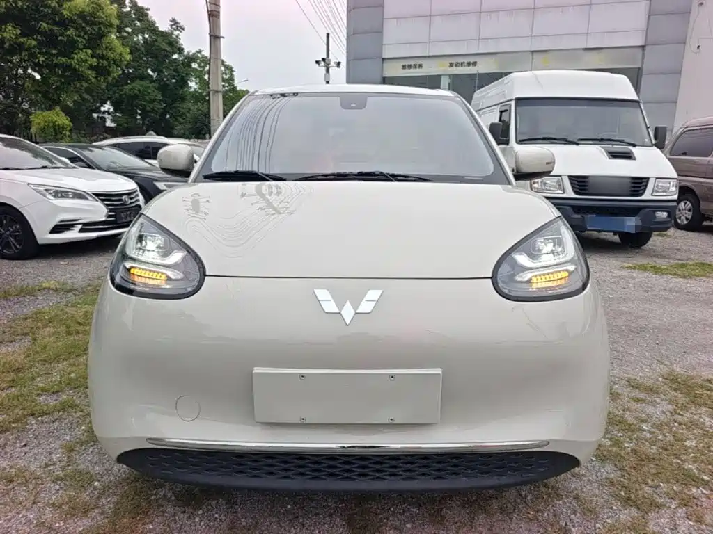 Wuling Binguo 2023 333km Enjoy +