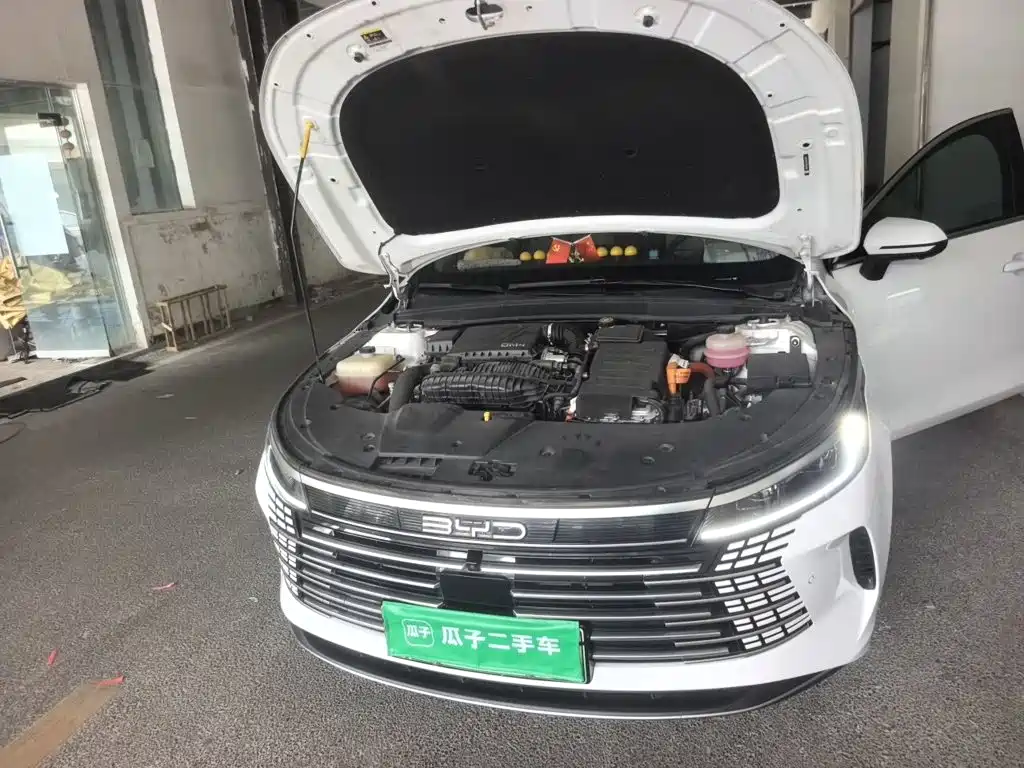 BYD Destroyer 05 — миниатюра 21