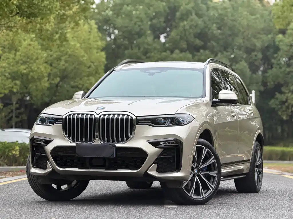BMW X7 — миниатюра 10