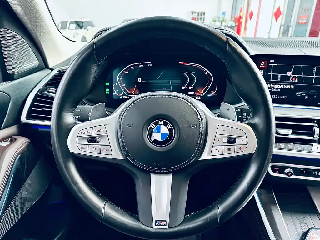 BMW X5 — миниатюра 14