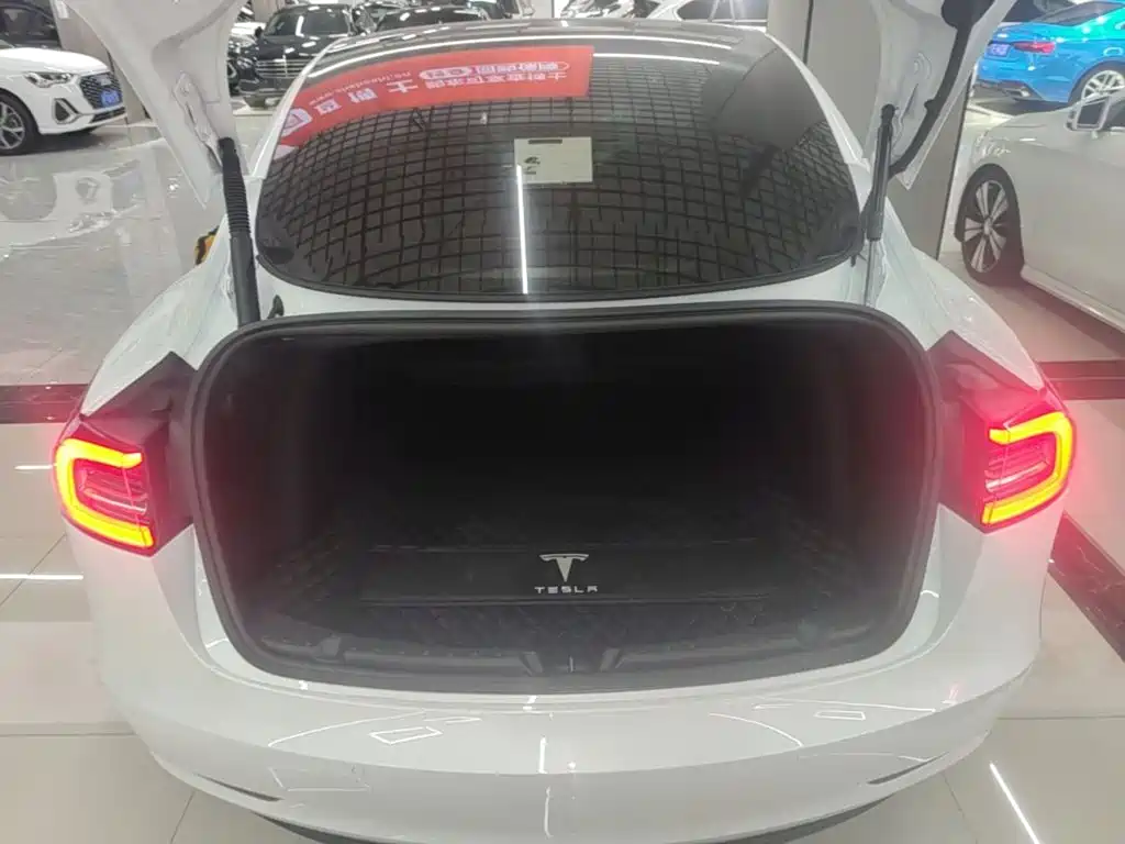 Tesla Model 3 — миниатюра 19