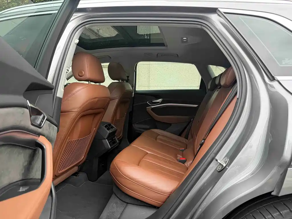 Audi e-tron (Import) — миниатюра 7