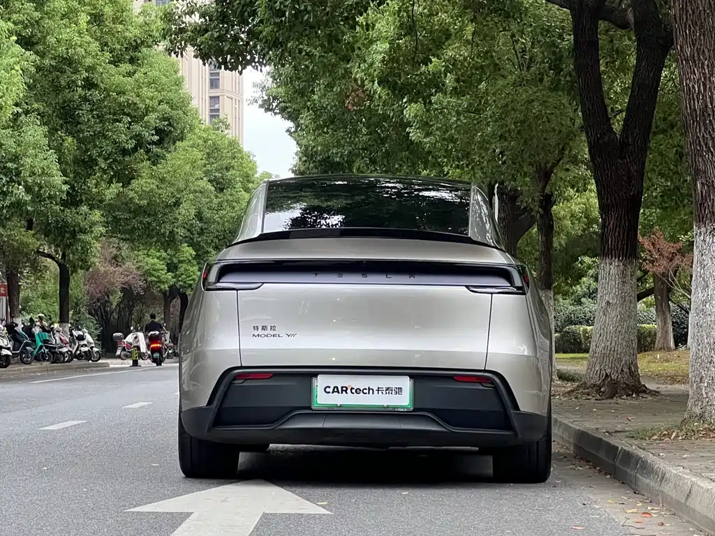 Tesla Model Y L — миниатюра 4