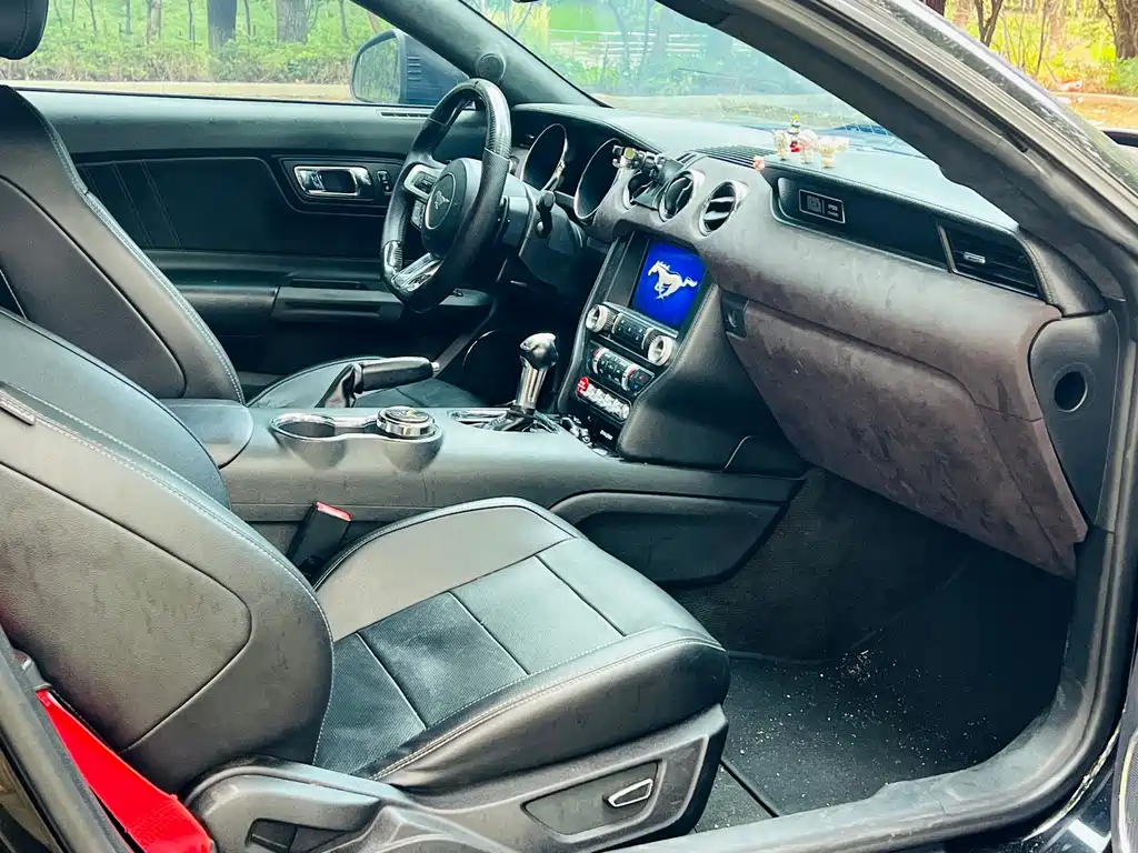 Ford Mustang — миниатюра 9