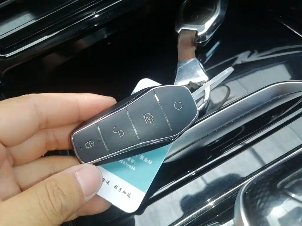 BYD Tang New Energy — миниатюра 9