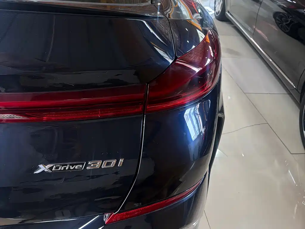 BMW X6 2020 xDrive30i M Sport