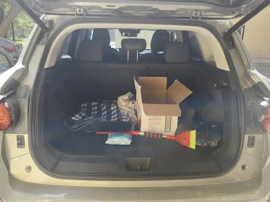 Haval Big Dog PLUS — миниатюра 4