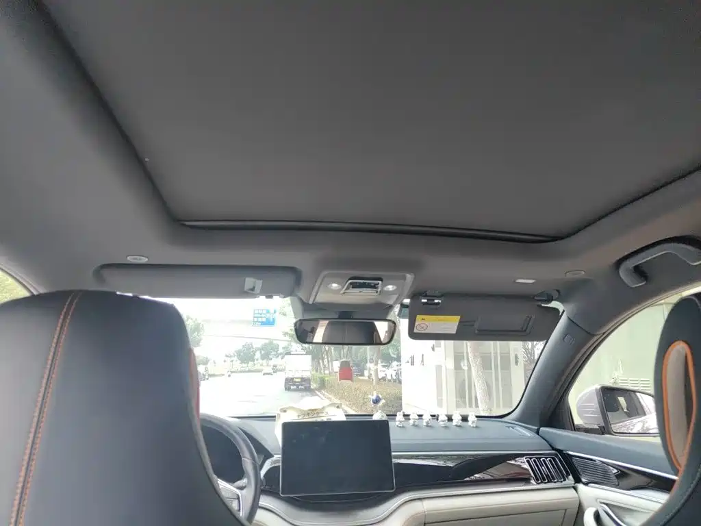 BYD PLUS New Energy — миниатюра 19