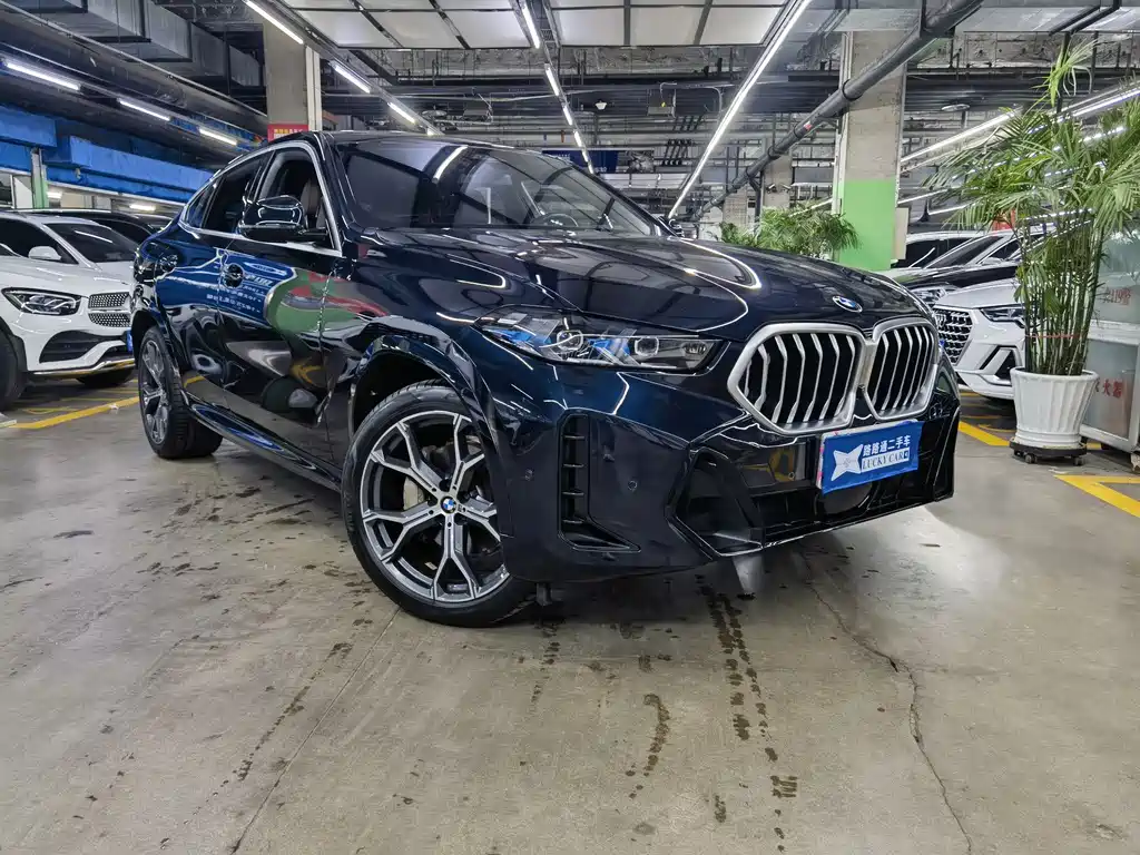 BMW X6 2023 xDrive40i M Sport