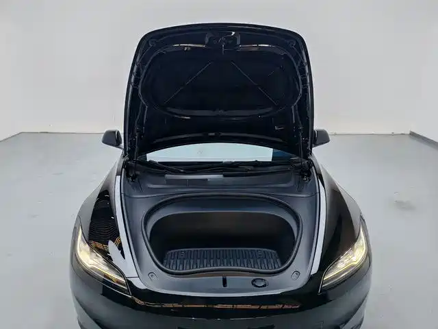 Tesla Model 3 — миниатюра 11