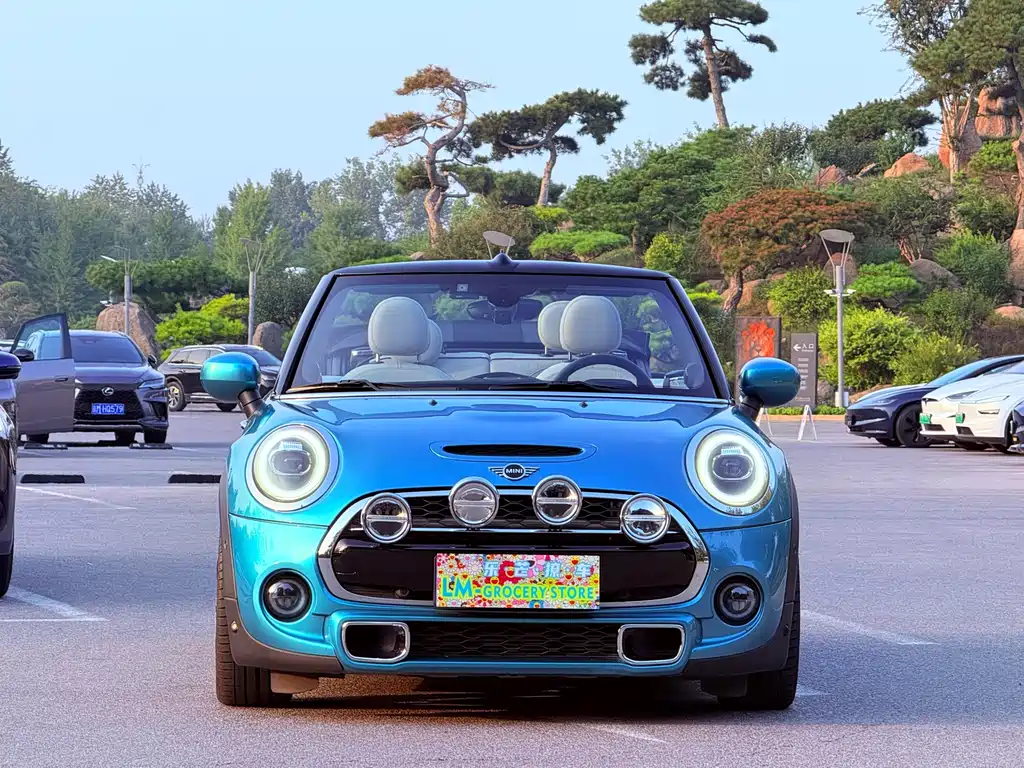 MINI Mini — миниатюра 2