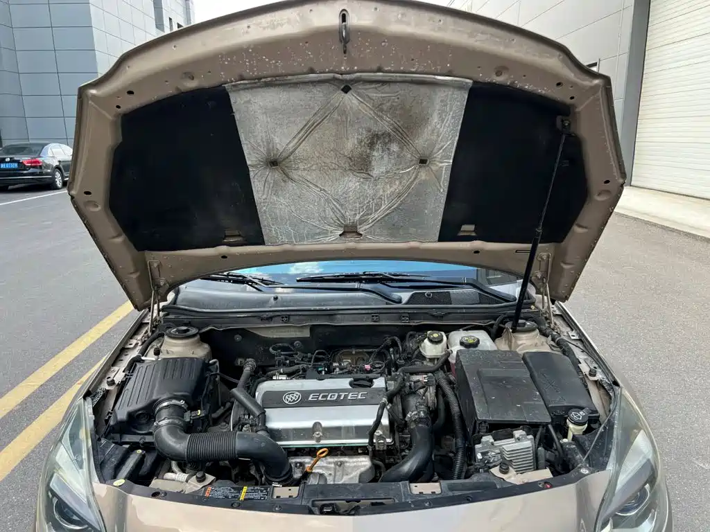 Buick Regal — миниатюра 14