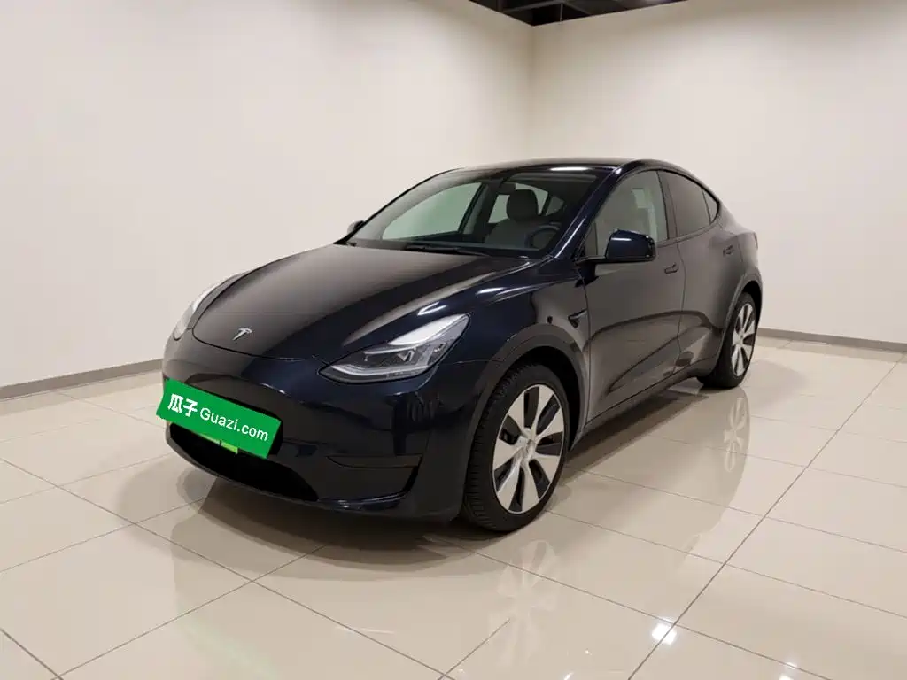Tesla Model Y — миниатюра 2