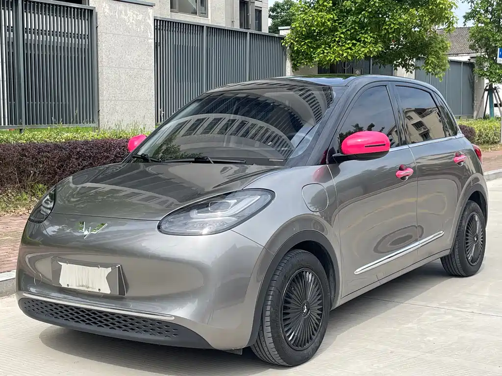 Wuling Bingo 2024