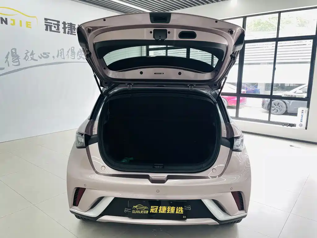 BYD Dolphin — миниатюра 13