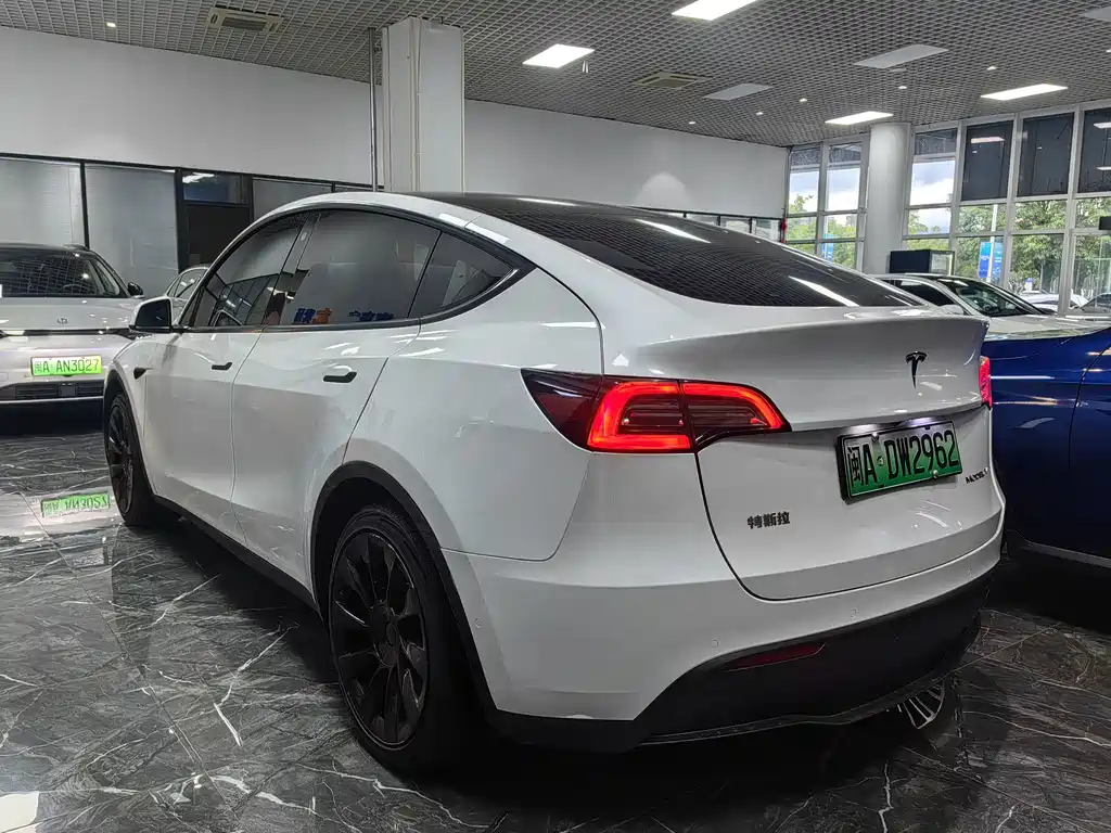 Tesla Model Y — миниатюра 6