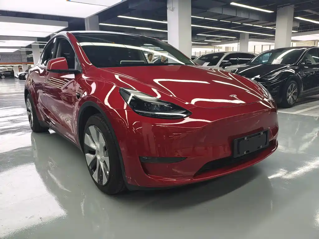Tesla Model Y — миниатюра 3