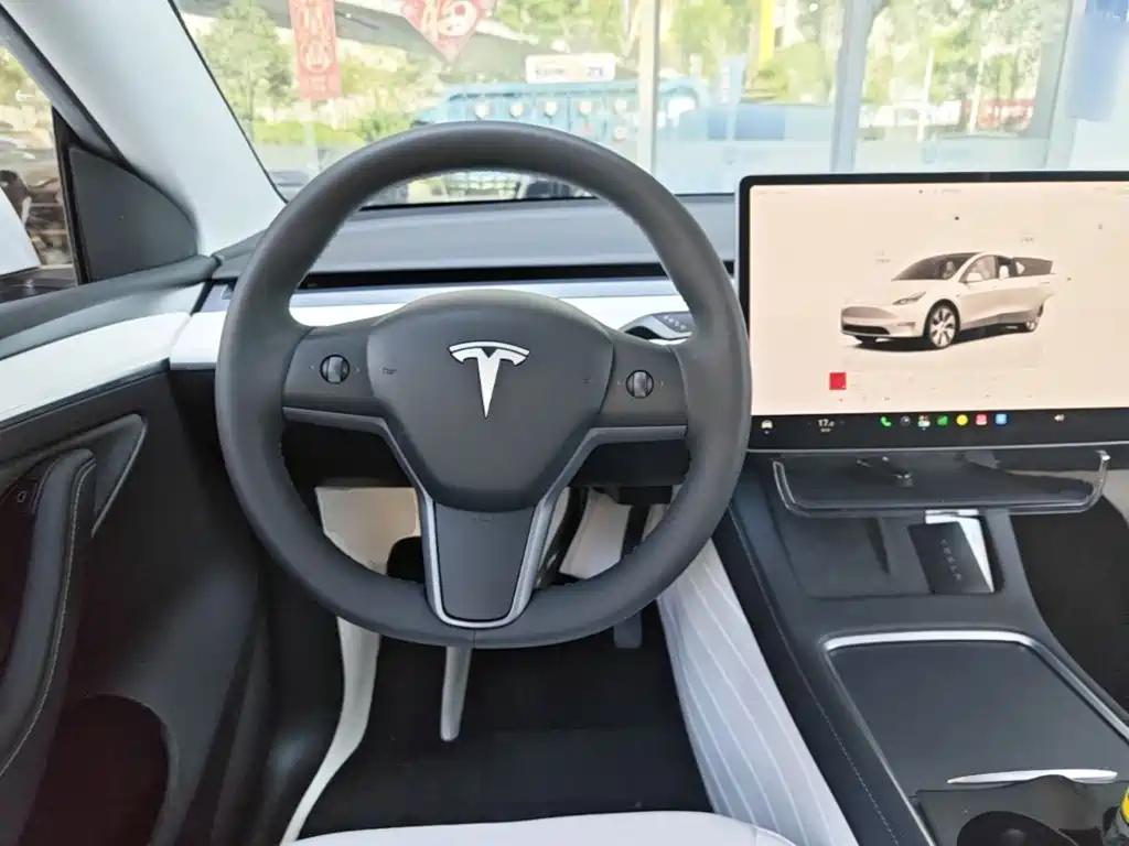 Tesla Model Y — миниатюра 11