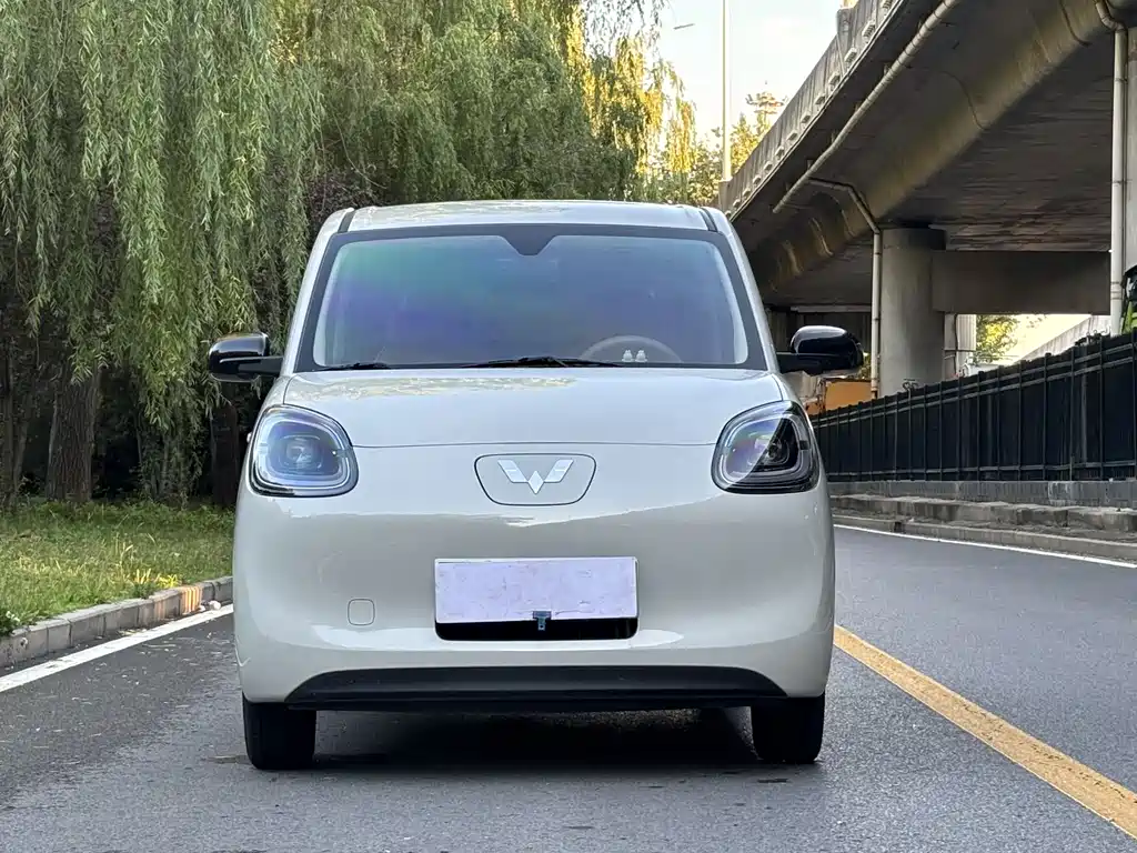 Wuling Mini EV MINIEV 2025 Premium