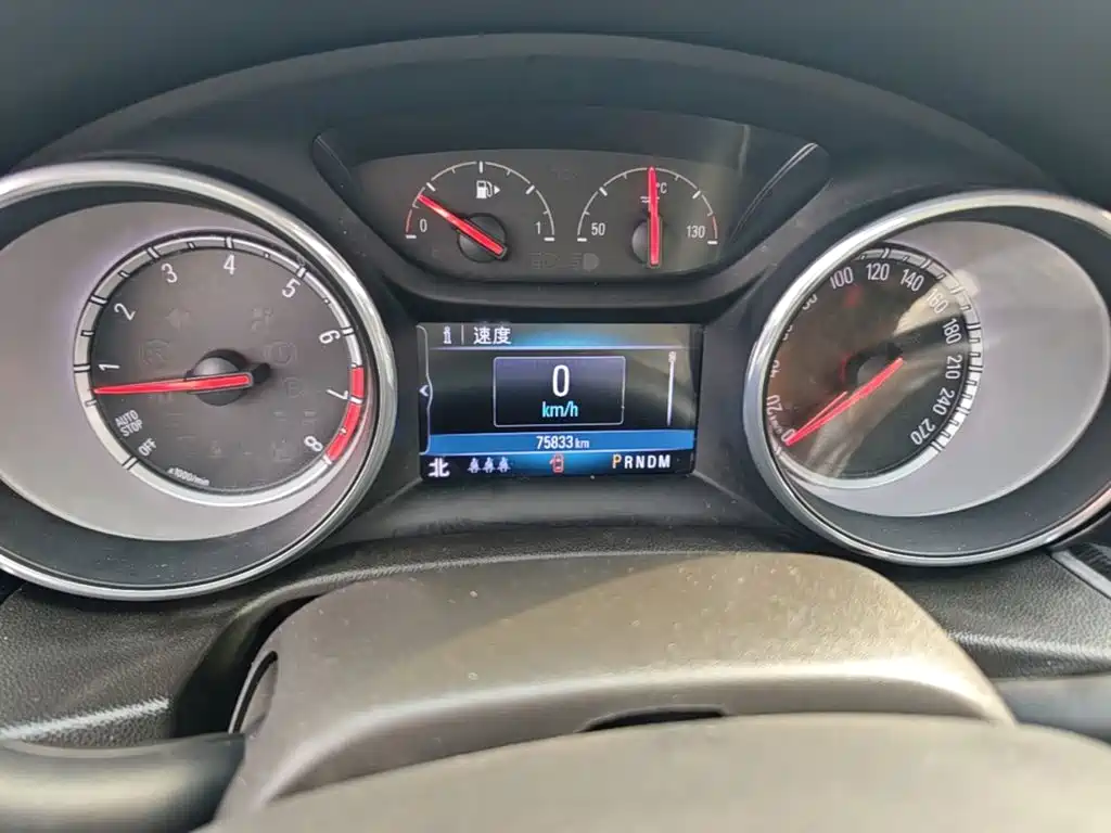 Buick Regal — миниатюра 12