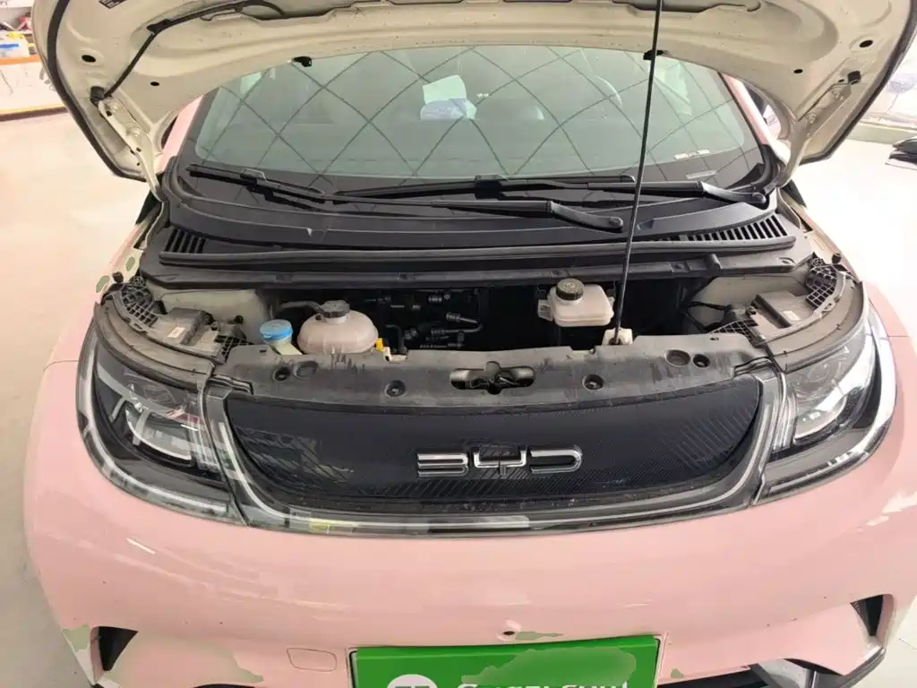 BYD Dolphin — миниатюра 20