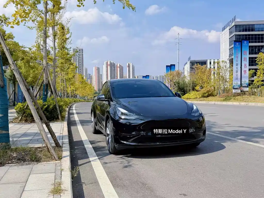 Tesla Model Y — миниатюра 3