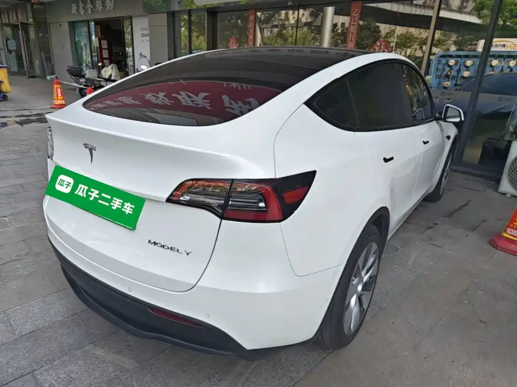 Tesla Model Y — миниатюра 7
