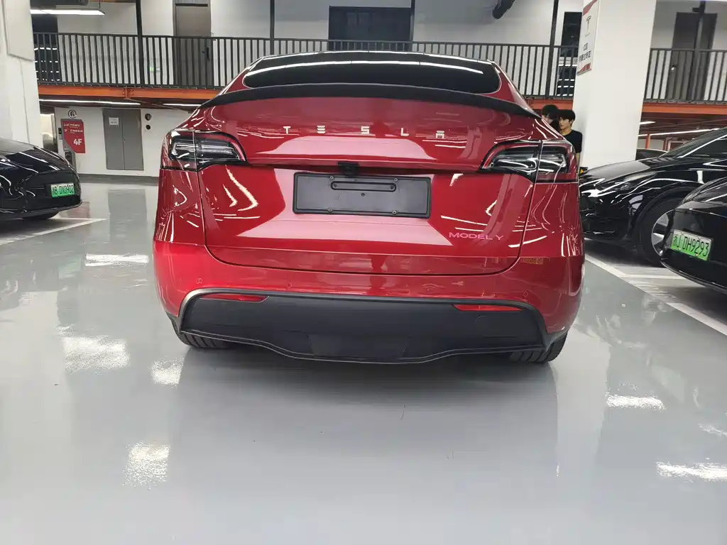 Tesla Model Y — миниатюра 10