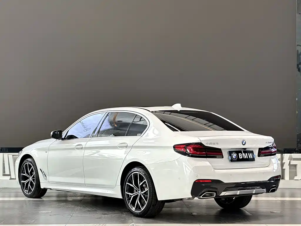 BMW 5 Series — миниатюра 3