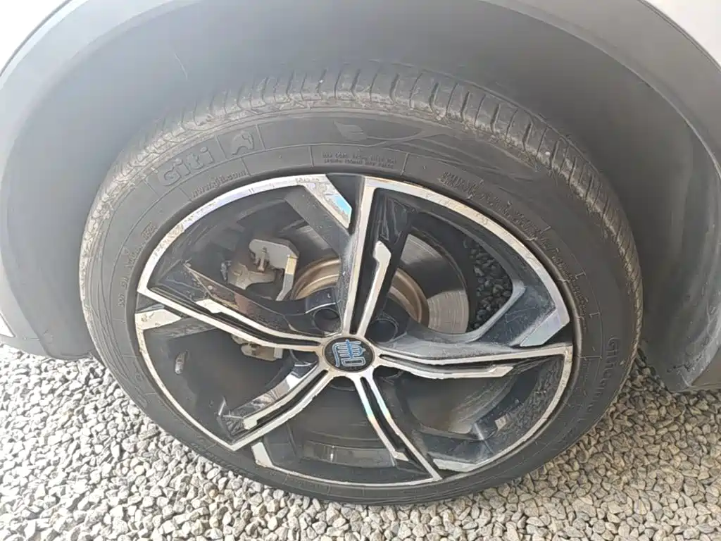 BYD Tang New Energy — миниатюра 23