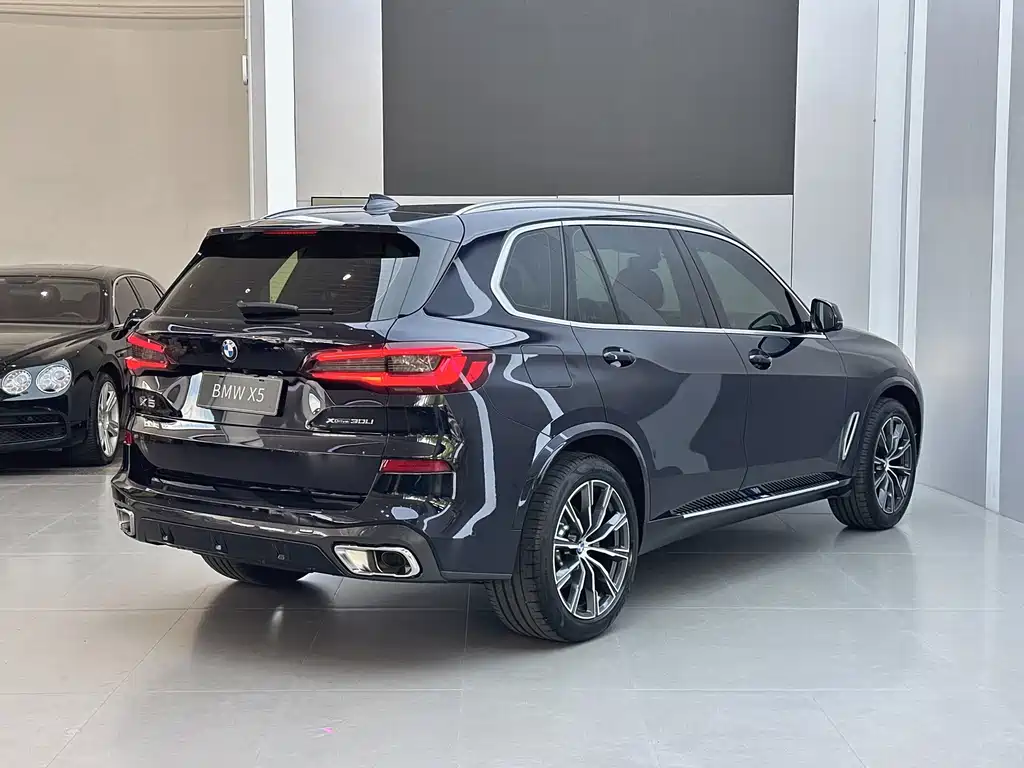 BMW X5 — миниатюра 18