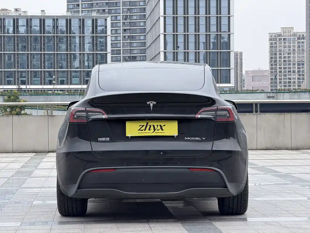 Tesla Model Y — миниатюра 6
