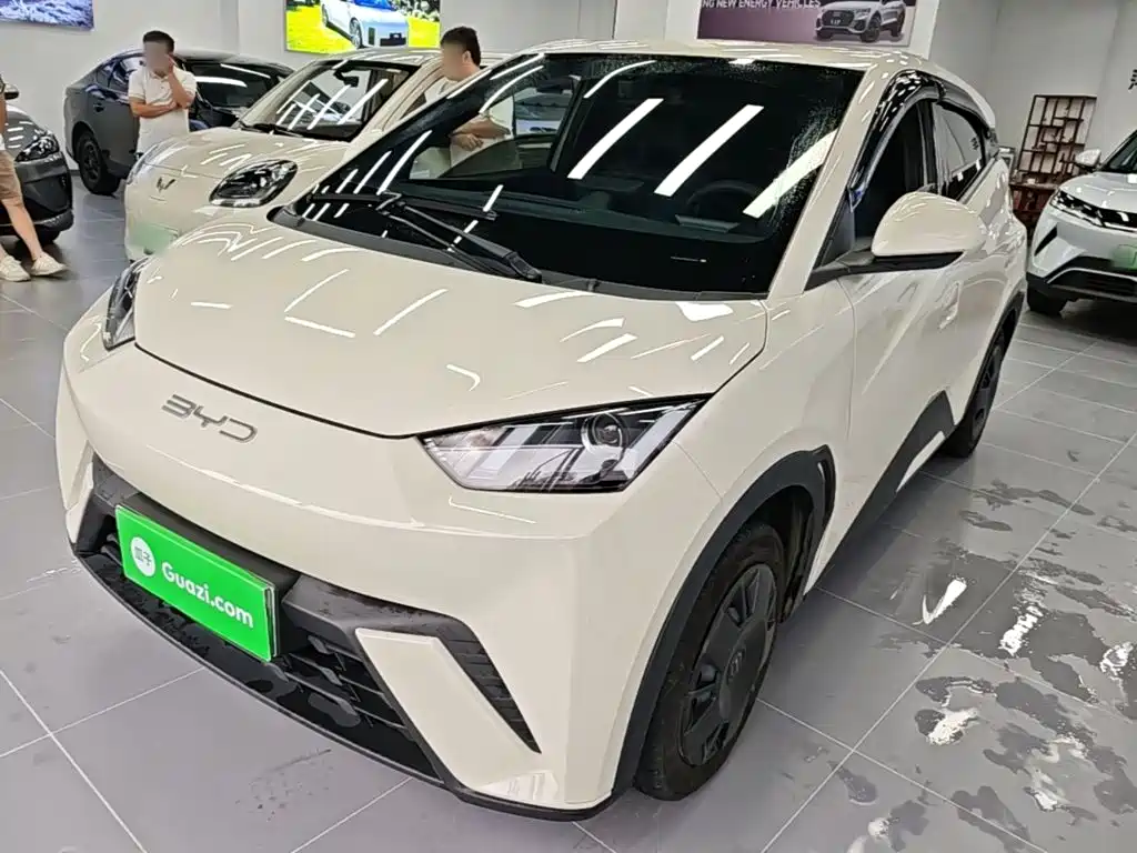 BYD Seagull — миниатюра 2