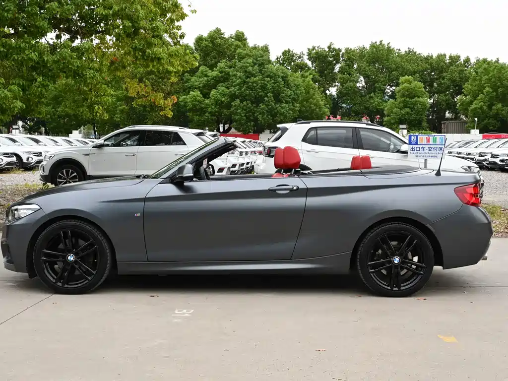 BMW 2 Series (Import) — миниатюра 2