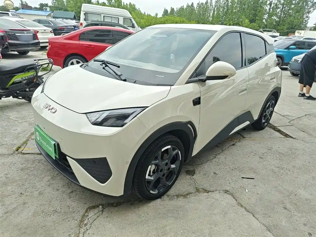 BYD Seagull 2025 Smart Drive Edition 305km Free Edition