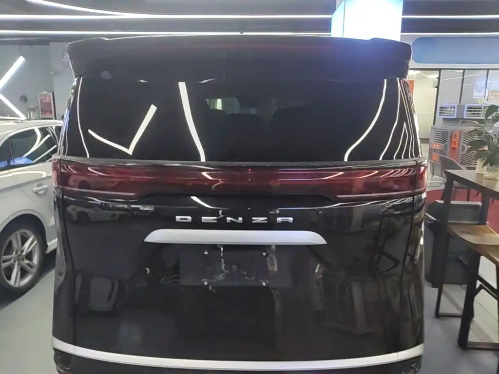 Denza Denza D9 — миниатюра 6