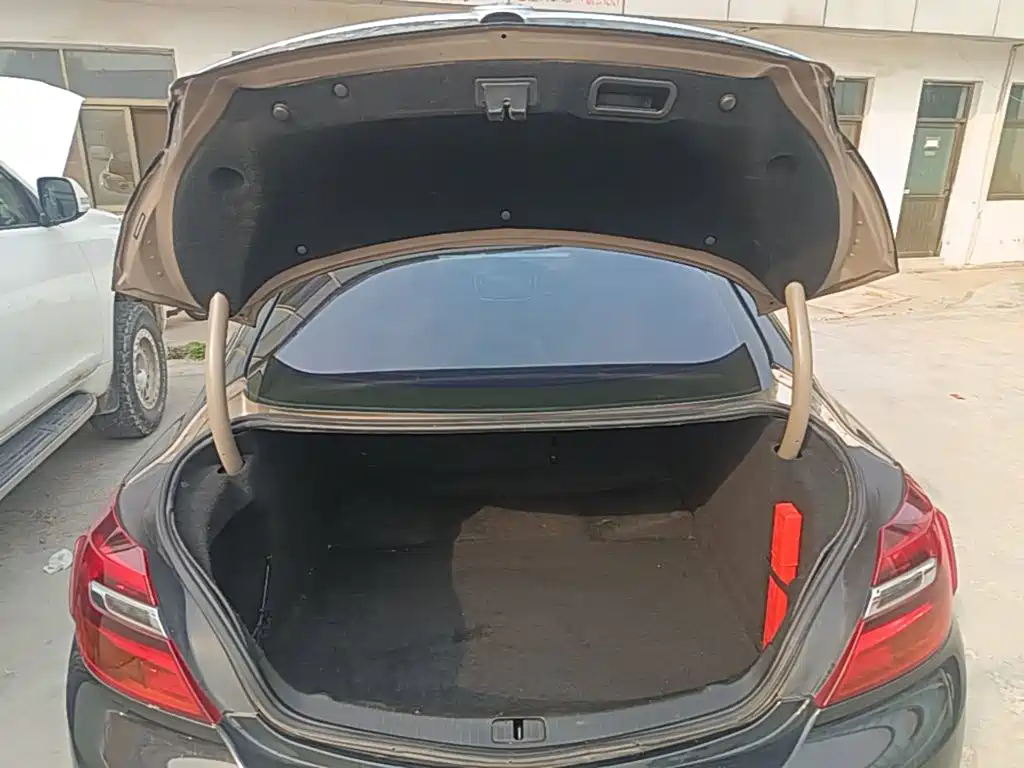 Buick Regal — миниатюра 15