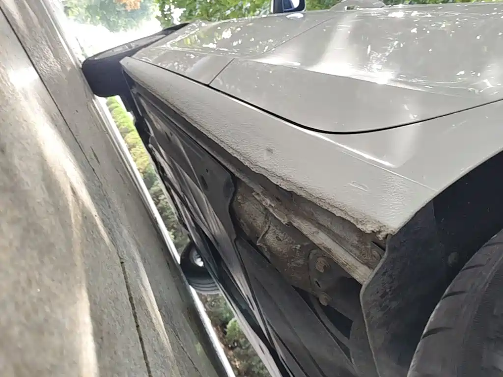 Volkswagen Lamando — миниатюра 22