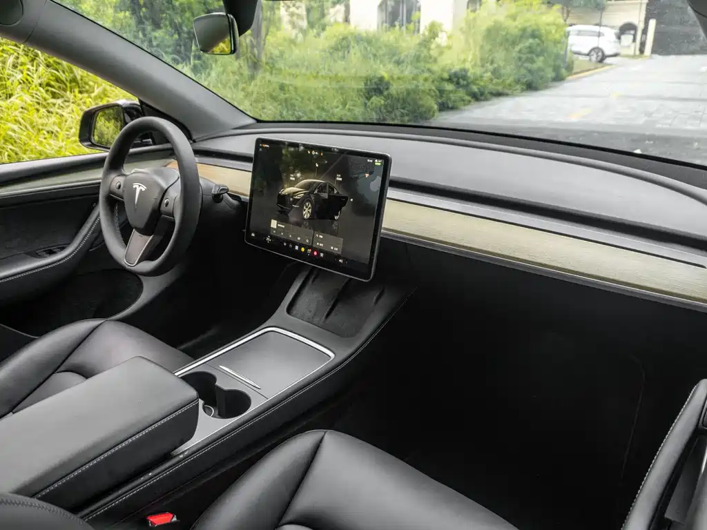 Tesla Model Y — миниатюра 8