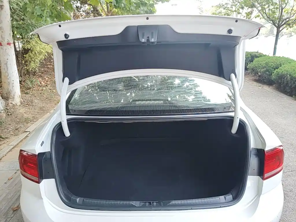 Volkswagen Lamando — миниатюра 19