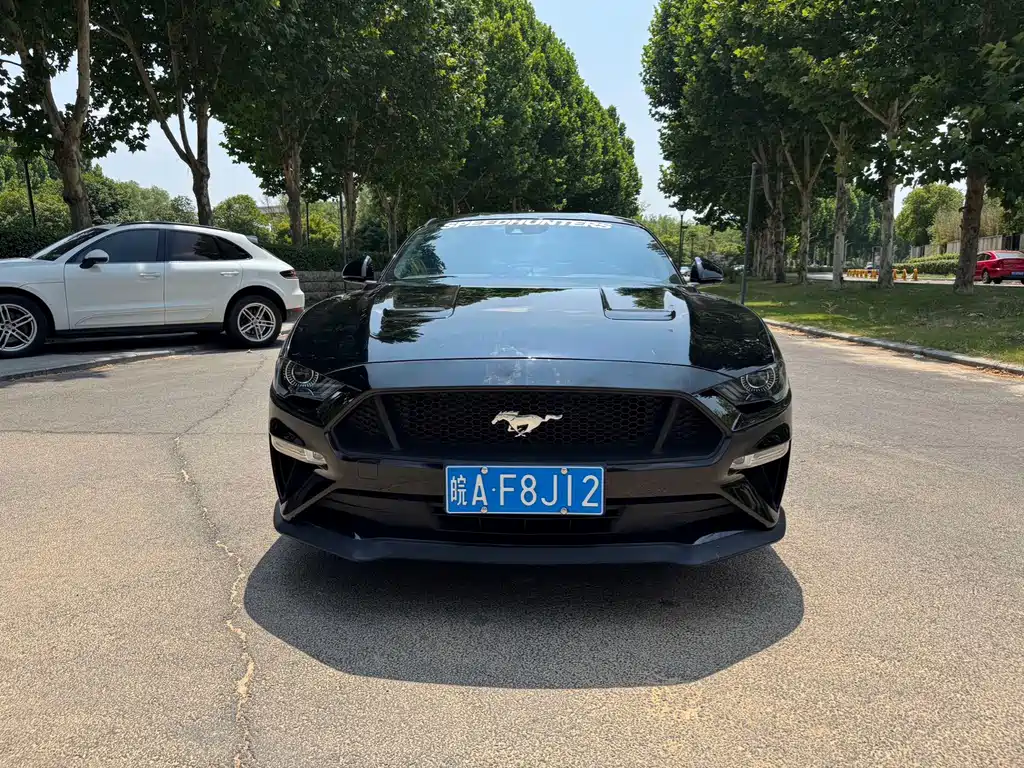 Ford Mustang — миниатюра 2